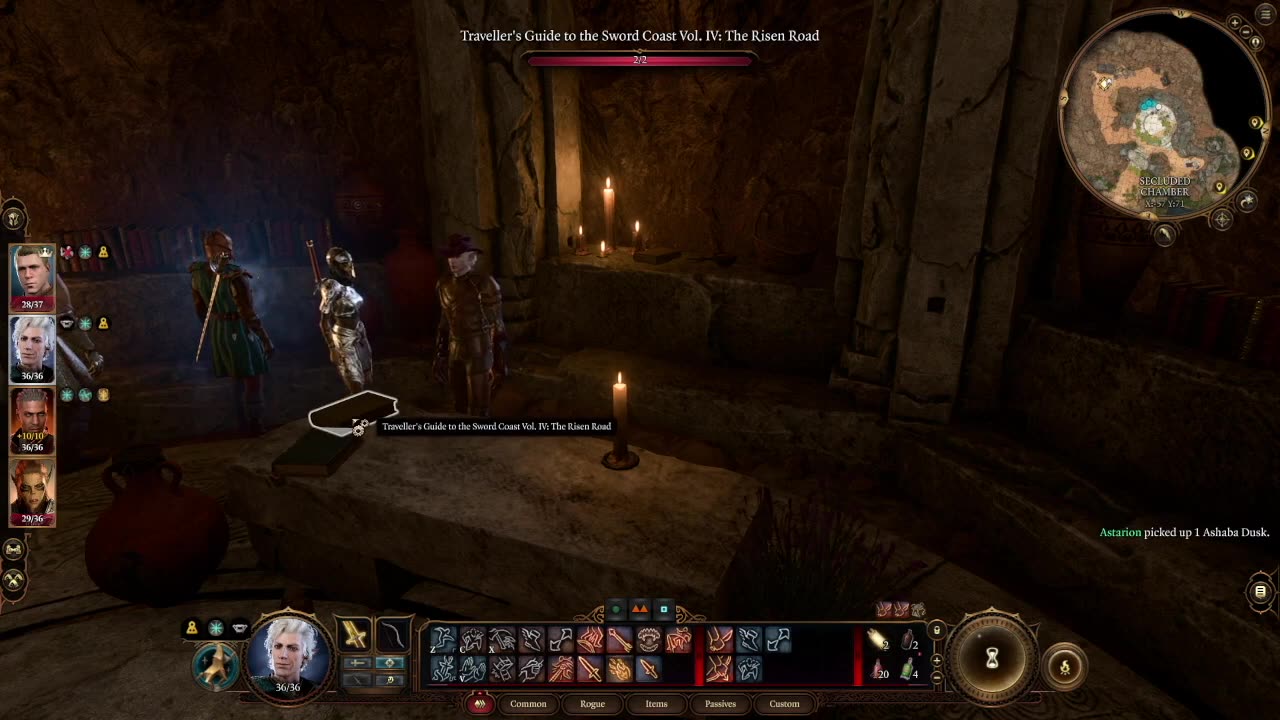 Let's Read "The Traveler's Guide to the Sword Coast, Volume IV" in Baldur's Gate III