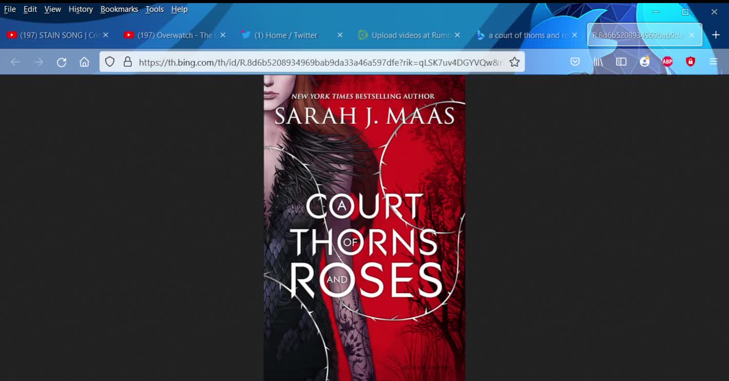 Yesterday's Books: A Court of Thorns and Roses