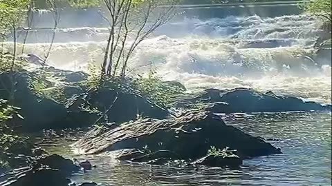 MISTY WATERFALL MORNING