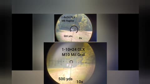 1-8 PLX vs 1-10 GLX Primary Arms LPVO