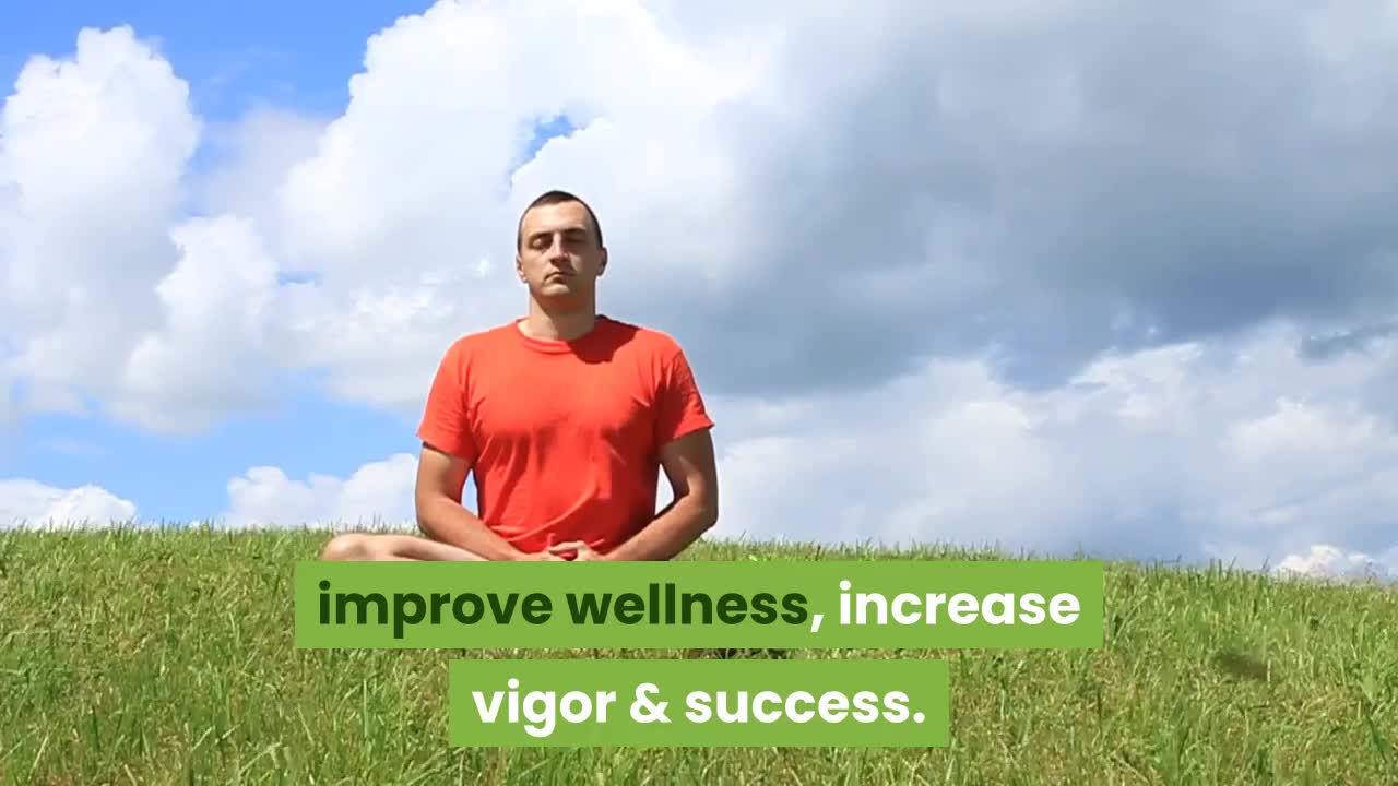 Vigor, Wellness And Sucess