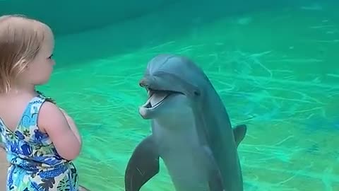 Cute Toddler Dolphin Interaction