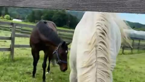 2022-6-26 Turn-out-3