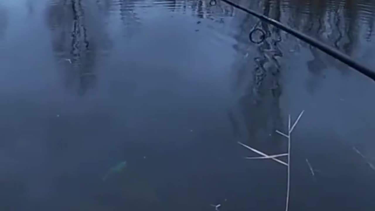 How To Start Fishing Any Lake for Beginners