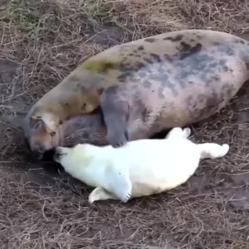 RESPONDING TO GOD'S LOVE - DAILY DEVOTIONAL ❤️