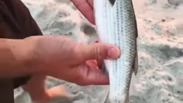 Look at the creativity of this fisherman