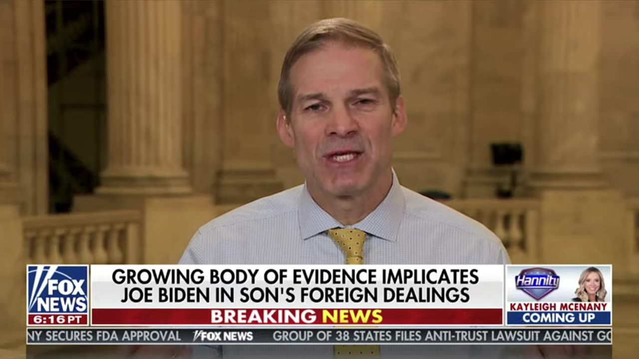 Rep. Jim Jordan on Hannity 12.17.2020 -