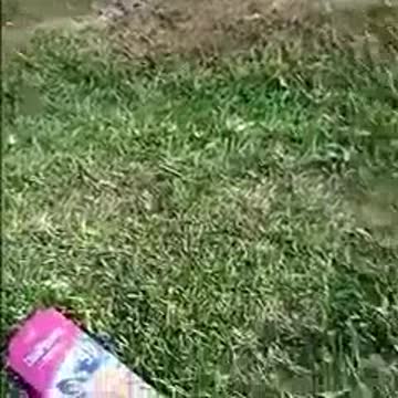 Boy planing girls task