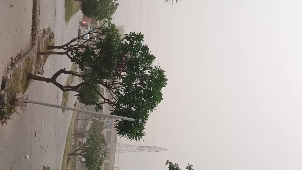 Very beautiful Mausam