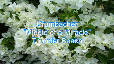 Crumbacher - Middle of a Miracle #137