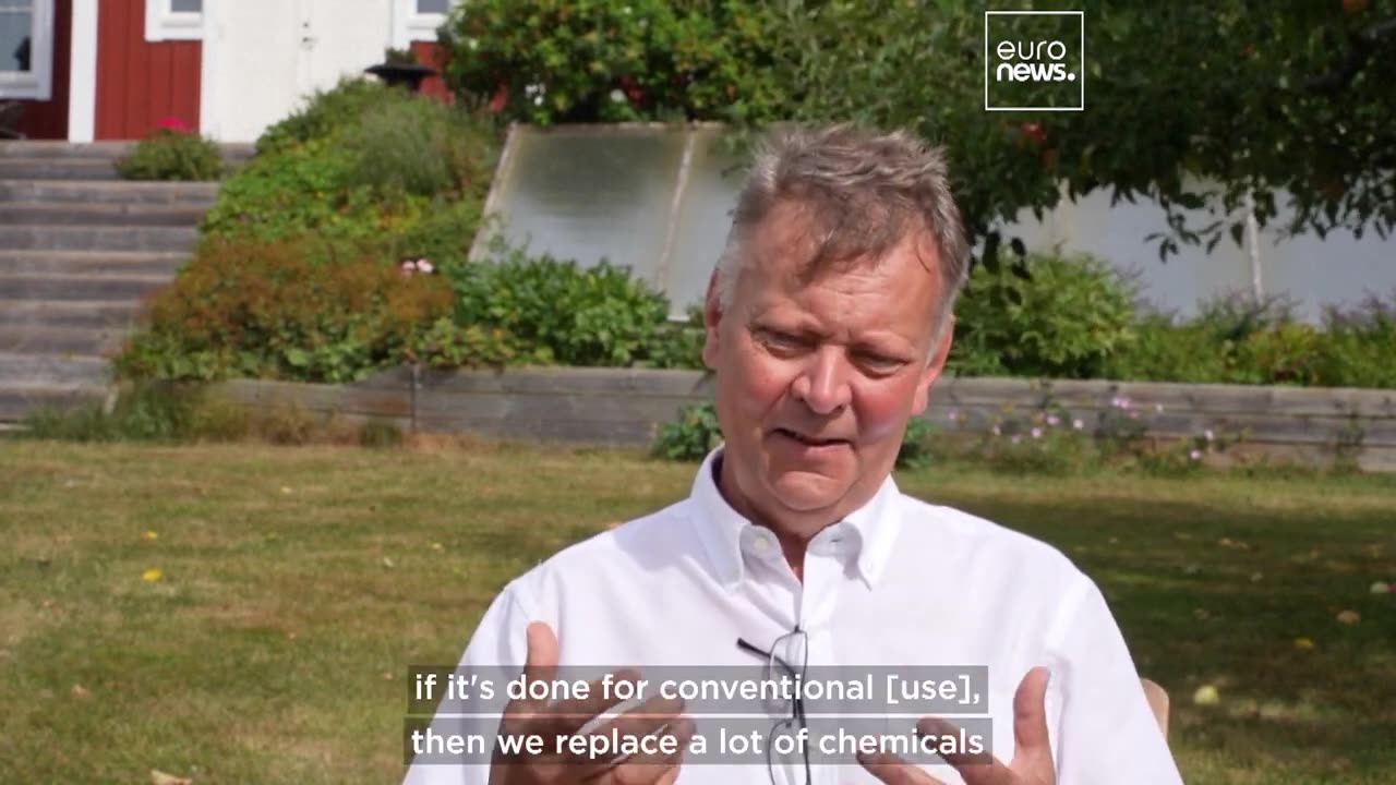 This chemical-free method for treating seeds is winning over sceptical farmers in Sweden and beyond