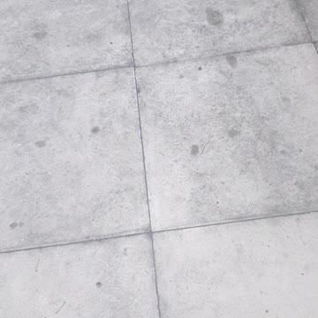 My ginger cat loves her cricket ball