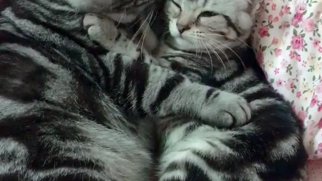 Two cute little ones