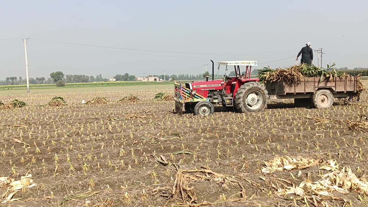 Watch new velong in Punjab Pakistan