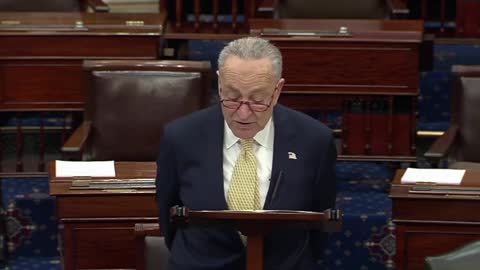 'They Want To Name The Wall After Trump_' Schumer Hammers GOP Over Misplaced Priorities