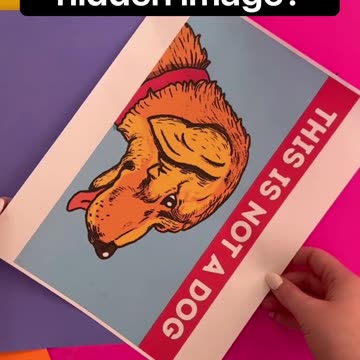 Can you find the hidden image?