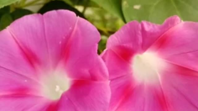 How to treat life correctly 对人对事心态要对