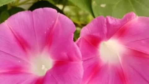 How to treat life correctly 对人对事心态要对