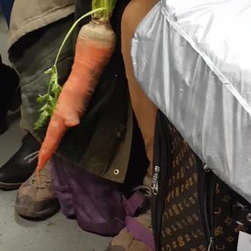 Lady on subway train with huge carrot