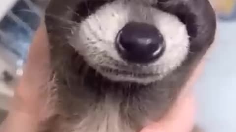 The Secret of Cute 🔥