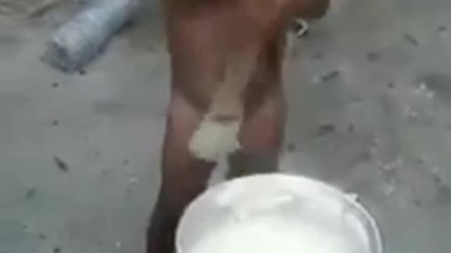 I can feel this pain but i cant watch without laughing