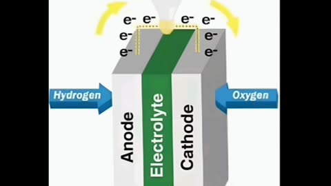 The God Molecule