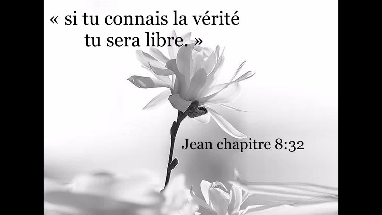 Madian des sources : Le prophète envoyé pour notre génération révélé dans Les écritures de Dieu.