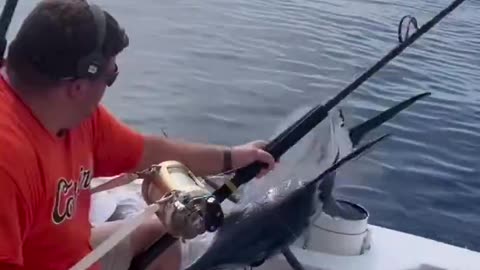 Last Deep Sea Fishing Trip