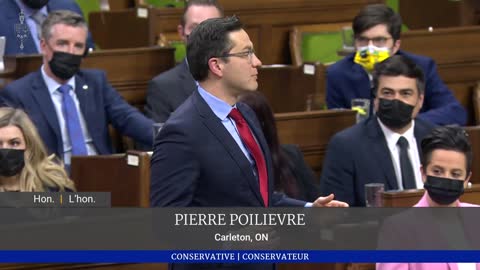 Pierre Poilievre: "Freedom is on the march"