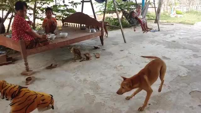 Wow Nice Fake Tiger Pranks Dog Try Not Laugh Challenge