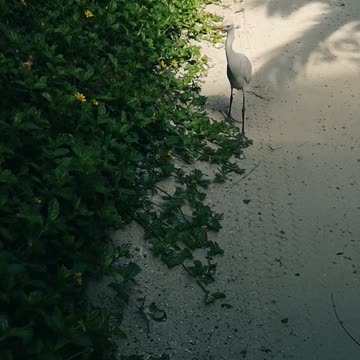 Finally caught this ll Epic Fail ll