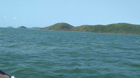 Beautiful sea Turning