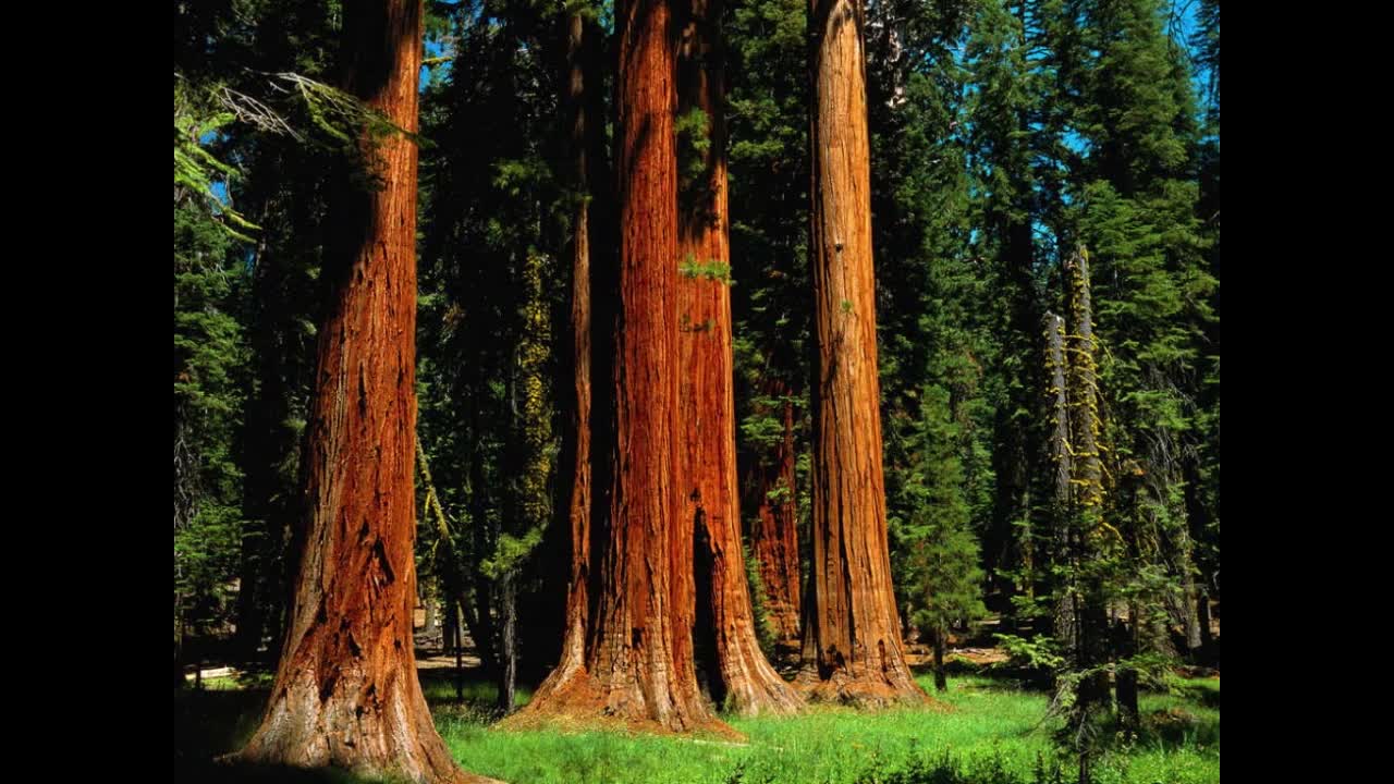 Missionaries James and Coletta Morsey - AM Service - Full