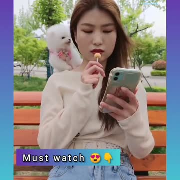 Cute Doggies 😍 doggies video funny 😂 funny puppy Videos 2021| I Love Dogs #Shorts