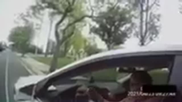 A TRAFFIC STOP IN LOS ANGELES