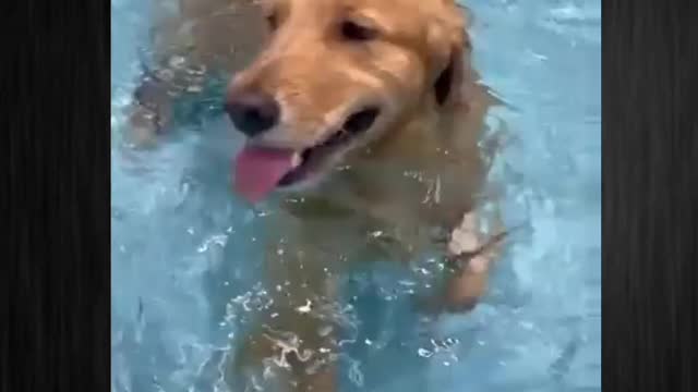 Break from the chaos