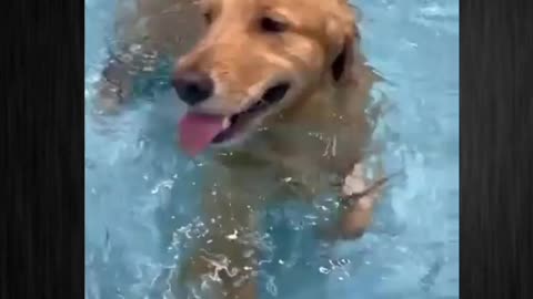 Break from the chaos