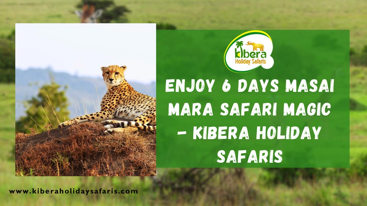 Enjoy 6 Days Masai Mara Safari Magic - Kibera Holiday Safaris