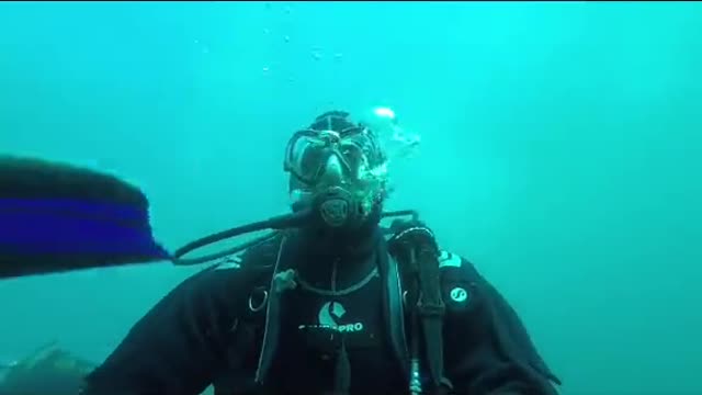 Scuba diver swims among one of the world's most bizarre fish