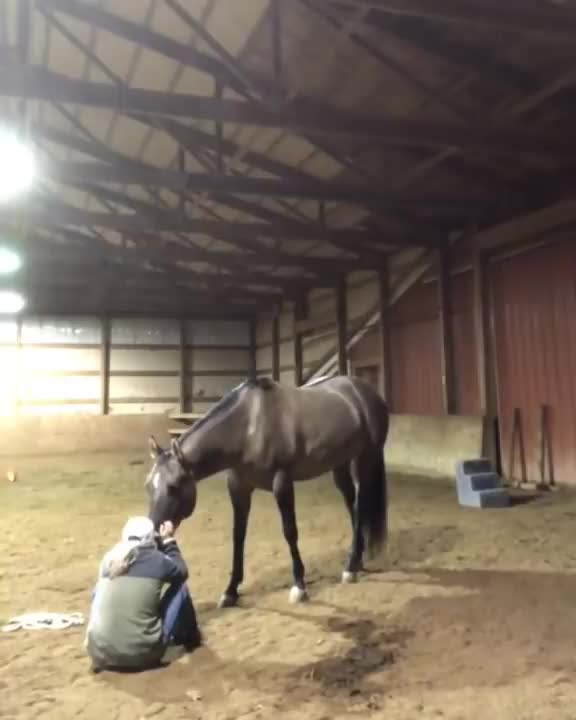 Girl cries to see how her horse will react