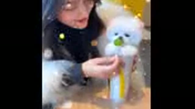 Cute And funny video dog 2021