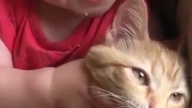 Cute Cat Touch Baby , Funny Cat Videos Compilation