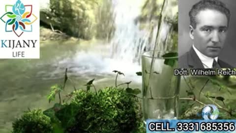 Ornella Mariani: Draghi? Un killer finanziario