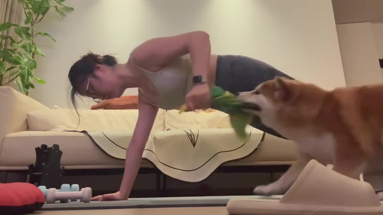 Workout with dog