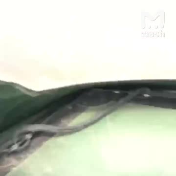 Saving stranded kittens in flooded areas 👍