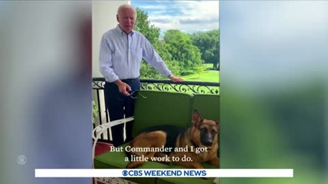 President Biden tests positive for COVID, returns to isolation