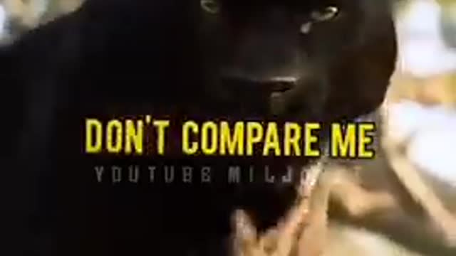 best motivational video
