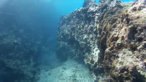 St. Maarten 2016