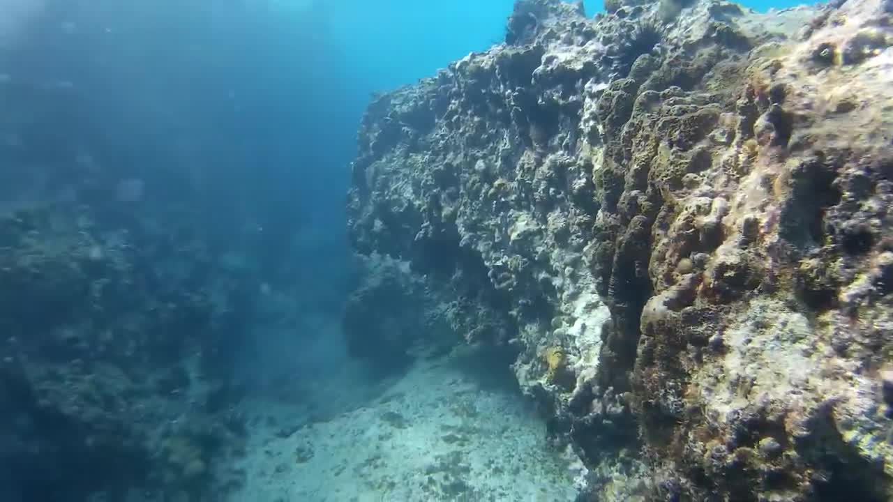 St. Maarten 2016