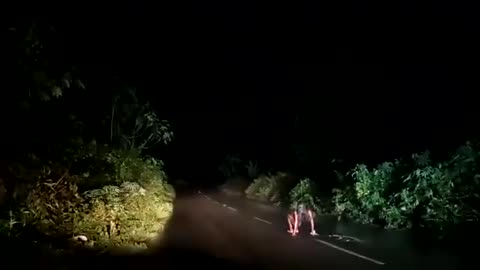 GHOST CAUGHT ON ROAD AT NIGHT | CAR|🙄🙄🙄